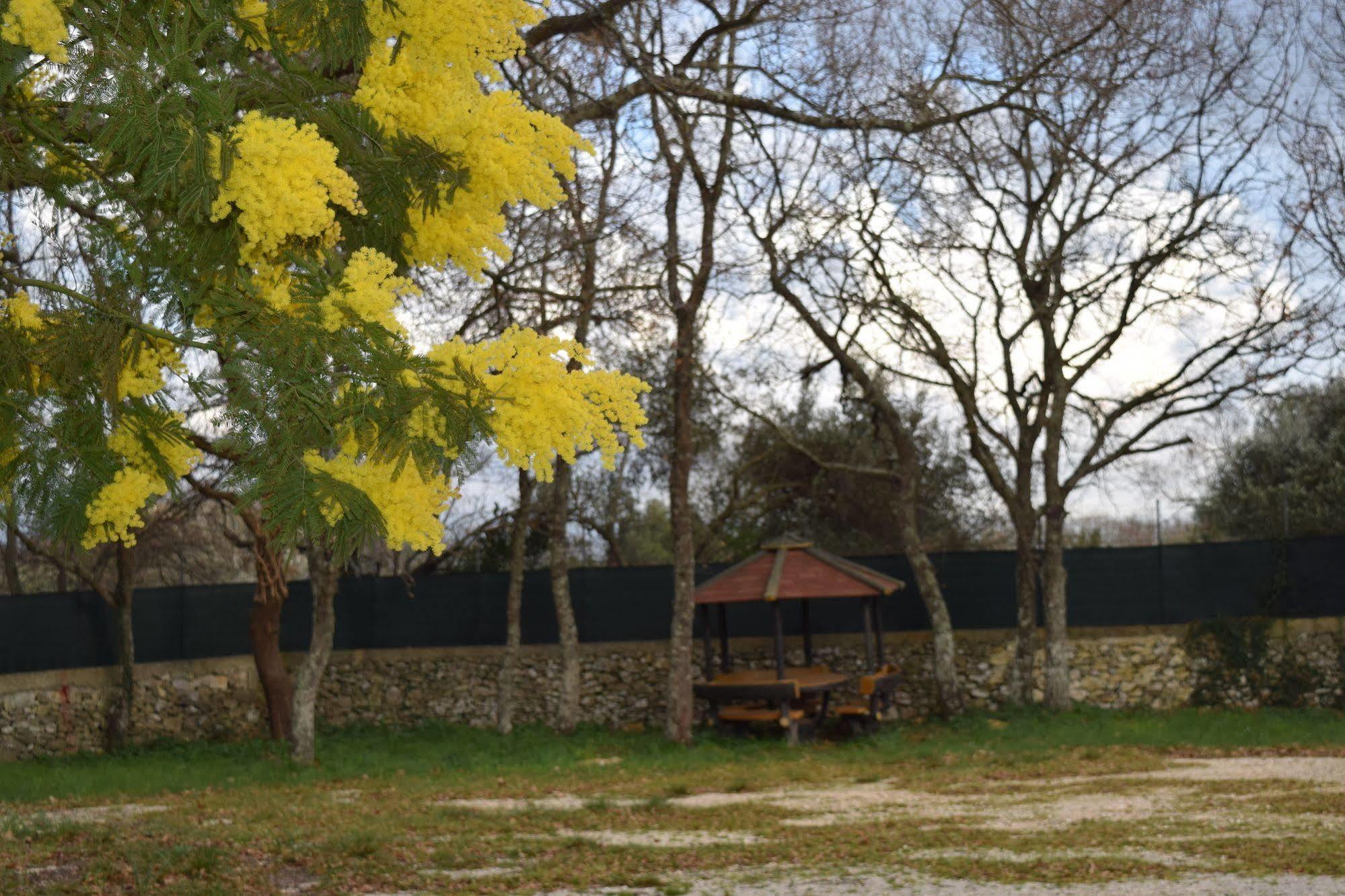 Villaggio Camping Bosco Selva Alberobello Exterior photo